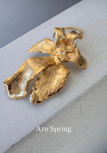 Cargar imagen en el visor de la galería, Aro Spring