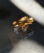 Cargar imagen en el visor de la galería, Anillo Amsterdam