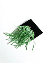 Cargar imagen en el visor de la galería, Aros Bahía