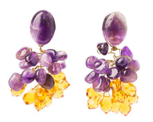 Cargar imagen en el visor de la galería, Aros Aster