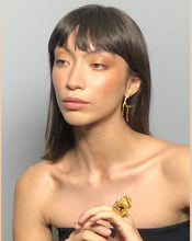 Cargar imagen en el visor de la galería, Aros Rama