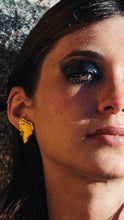 Cargar imagen en el visor de la galería, Aros Aromo