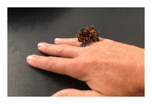 Cargar imagen en el visor de la galería, Anillo Anémona