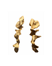 Cargar imagen en el visor de la galería, Aros Ciervo