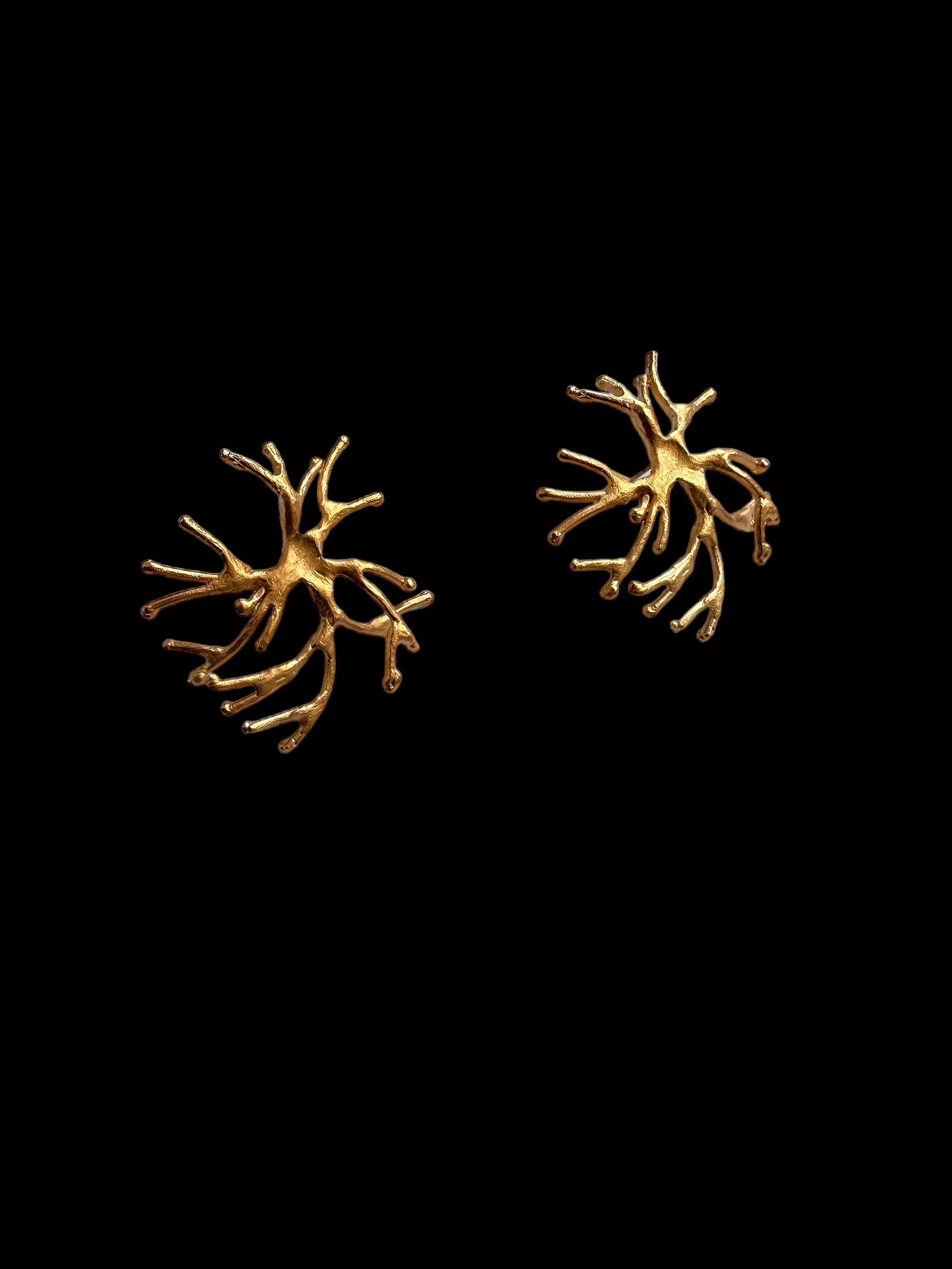 Aros Coral