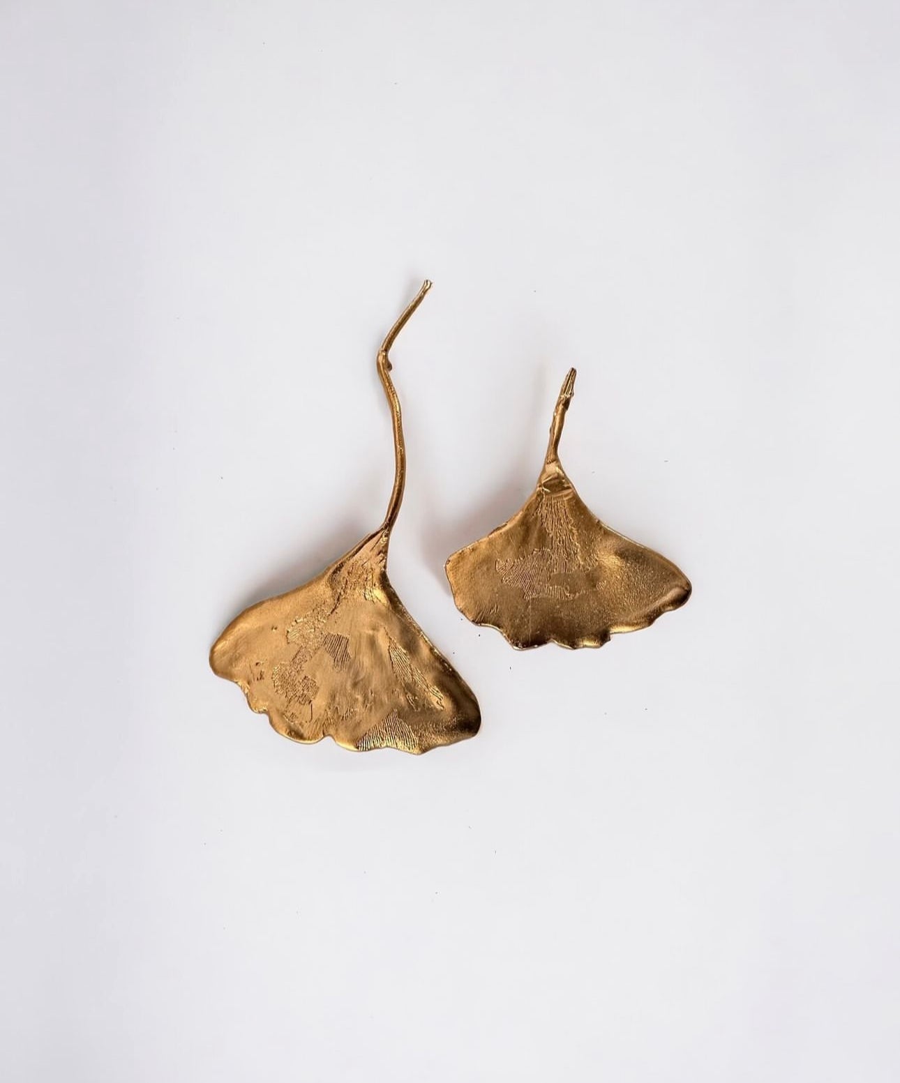 Aros Ginkgo