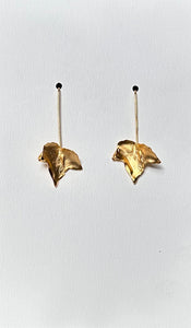 Aros Enredadera