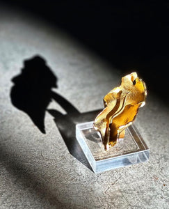 Anillo Amsterdam