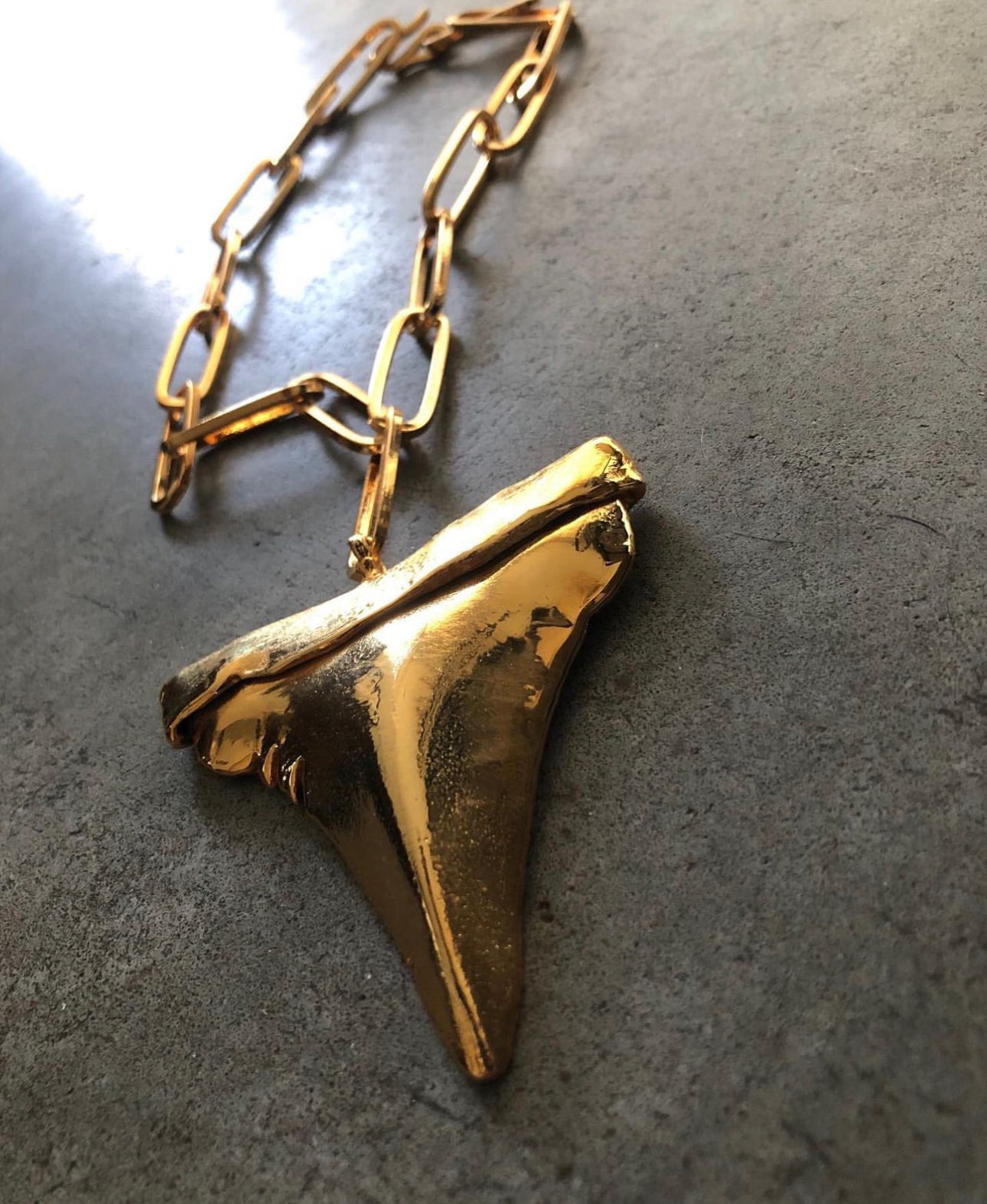 Collar Gansbaai