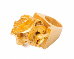 Anillo Fuego