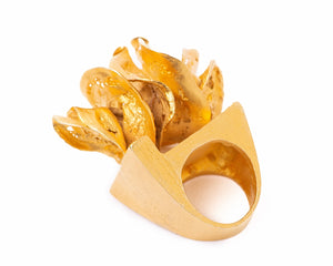 Anillo Fuego