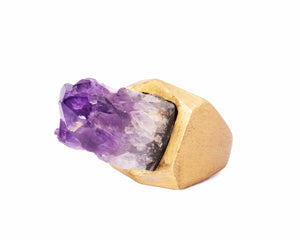 Anillo Roble