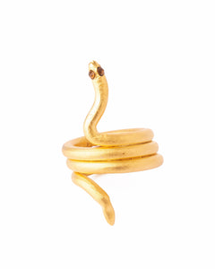 Anillo Snake