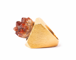 Anillo Roble