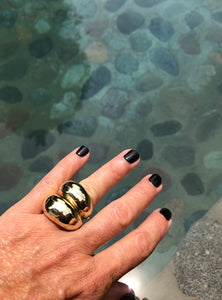 Anillo Santo