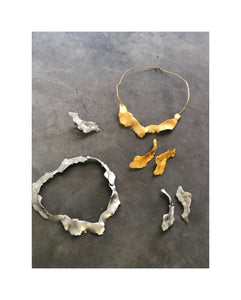 Collar Corteza XL