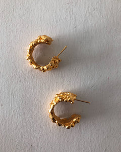 Aros Mora