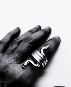 Anillo Snake