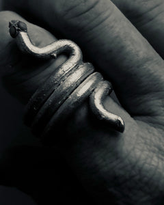 Anillo Snake