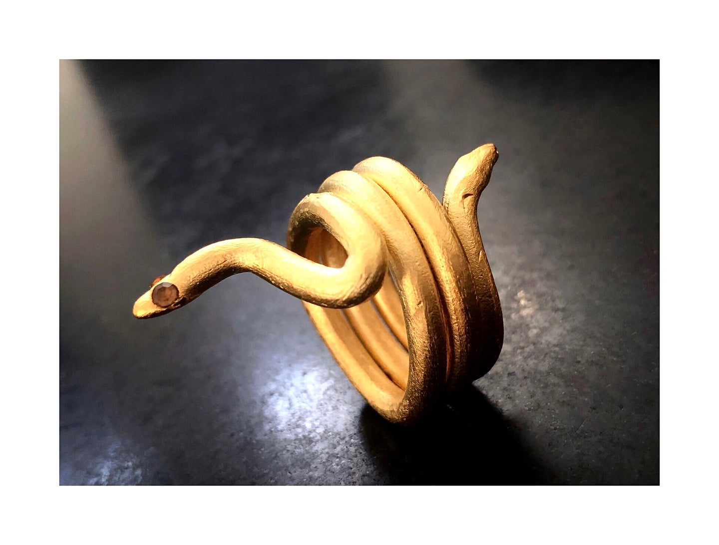 Anillo Snake