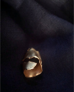 Anillo Corteza
