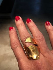 Anillo Corteza