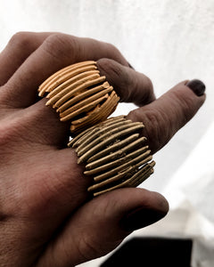 Anillo Bosque