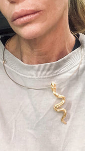 Dije Snake