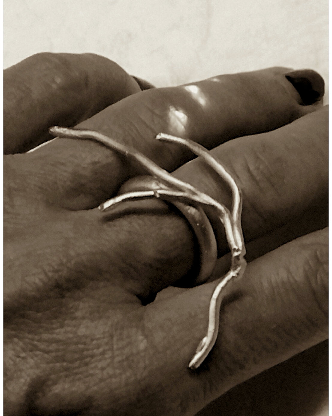 Anillo Rama