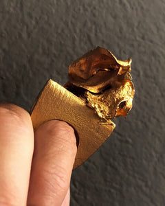 Anillo Fuego