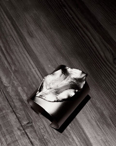 Brazalete Ficus