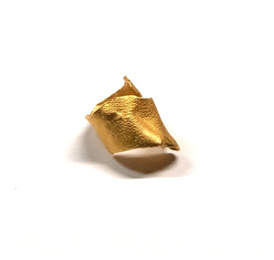 Anillo Corteza