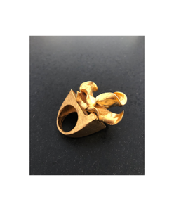 Anillo Fuego