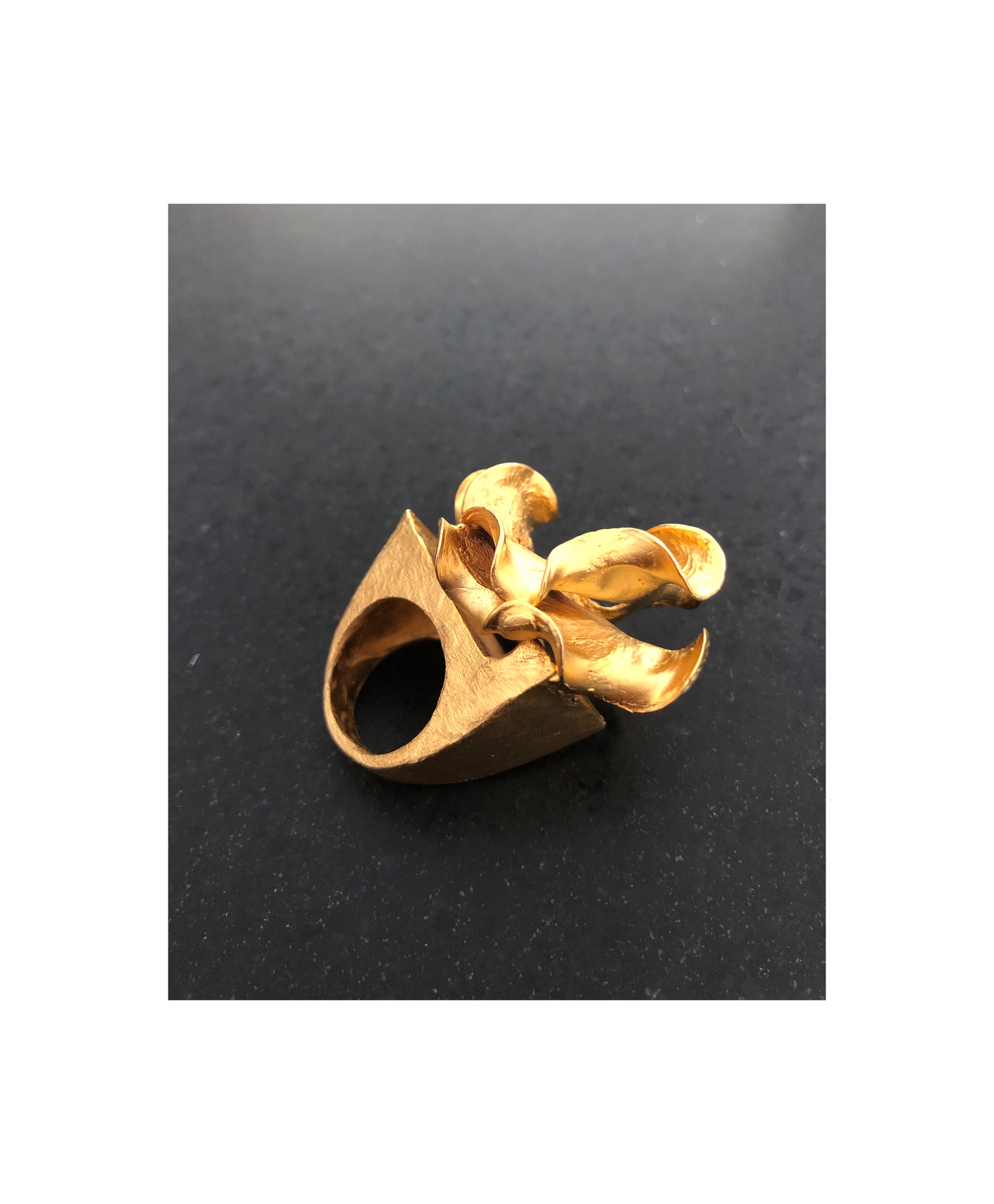 Anillo Fuego