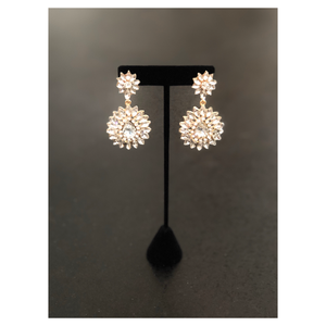 Aros Silene
