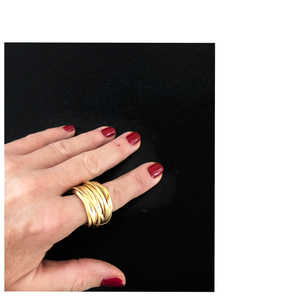 Anillo Nido